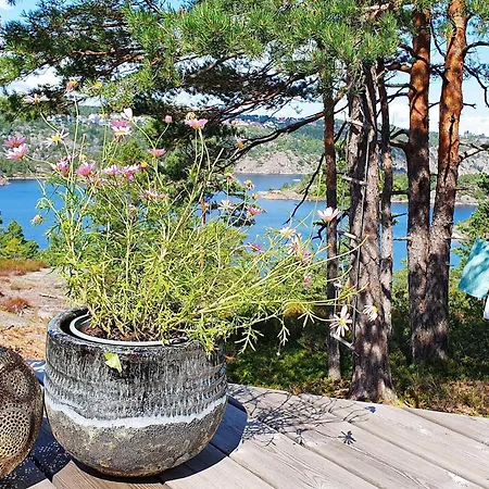 Сasa de vacaciones Holiday Home Risor *